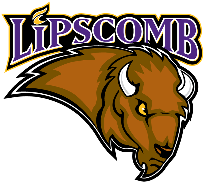 Lipscomb Bisons 2002-2011 Primary Logo t shirts DIY iron ons